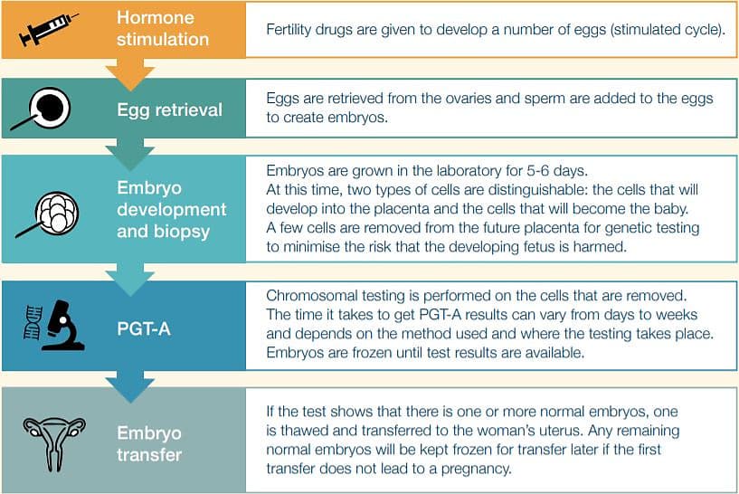 Star Fertility Pre Implantation Genetic Testing For Aneuploidy 4259